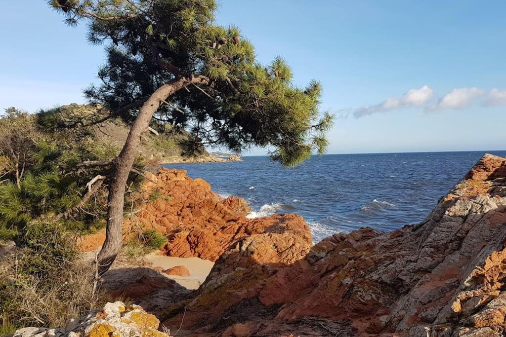 Vila Les Oliviers De Murateddu Porto-Vecchio  Exteriér fotografie